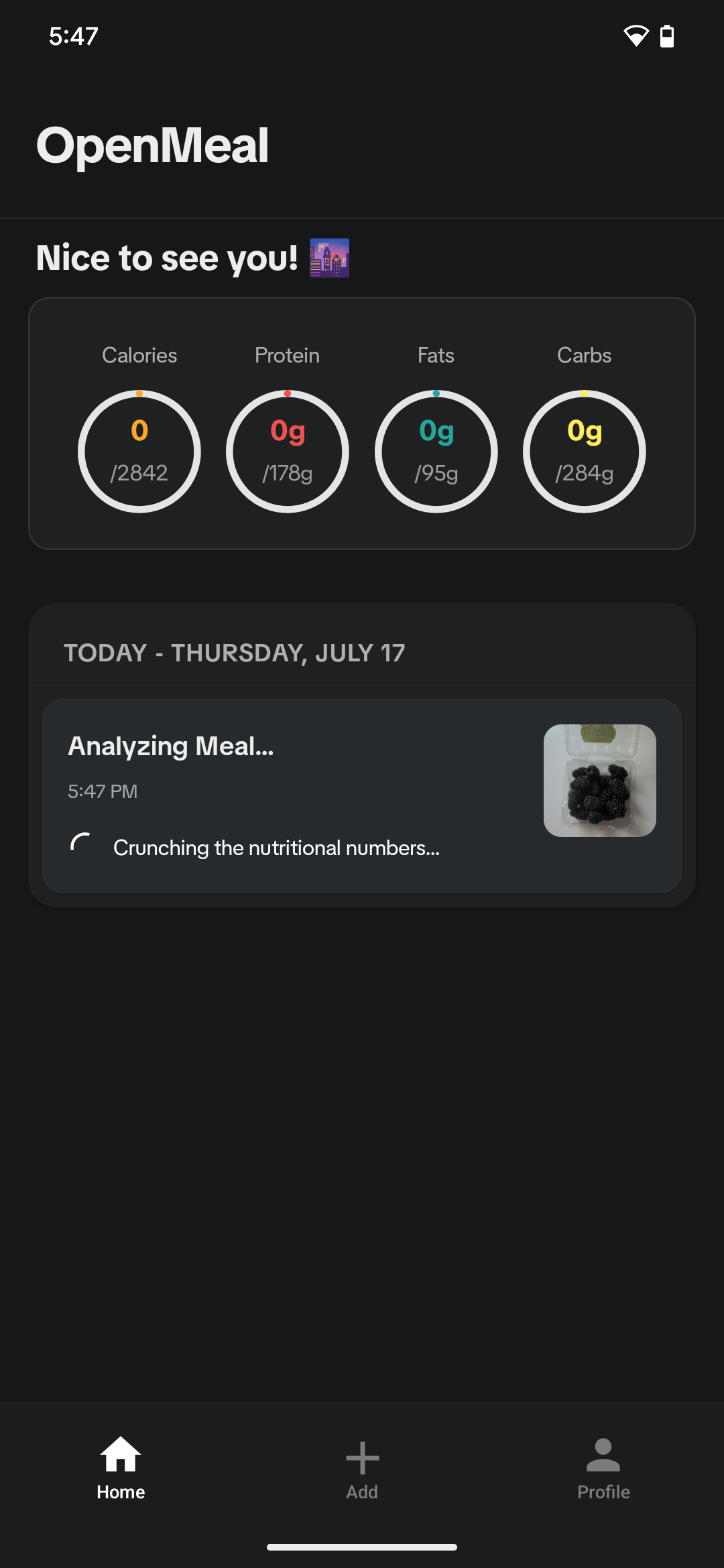 Meal being analyzed on Home page; shows random flavor text